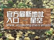 种植基地八(图1)