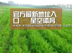 种植基地四