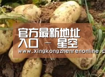 产品展示标题2