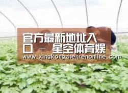 种植基地三