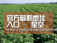 种植基地五