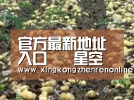 种植基地七