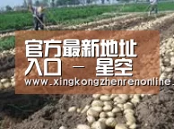 种植基地七(图1)