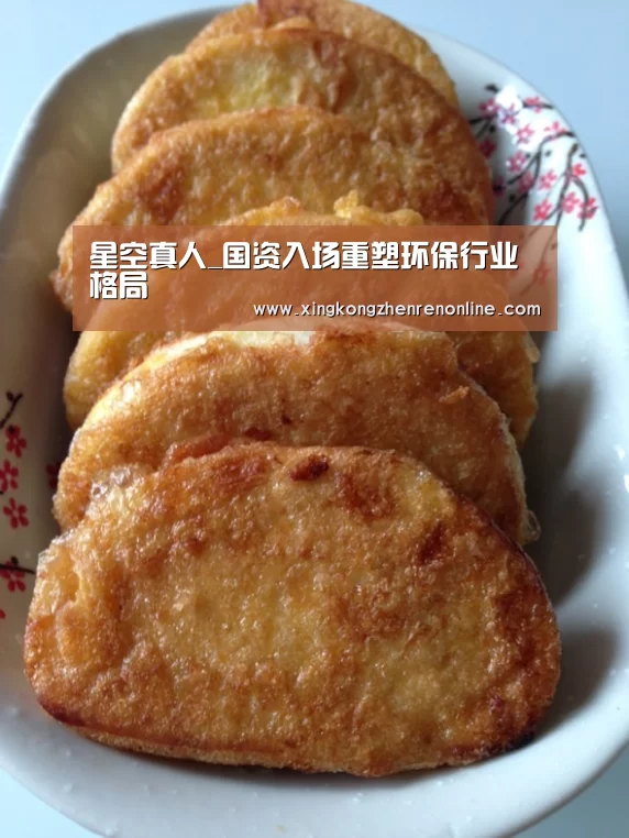 星空真人_国资入场重塑环保行业格局(图3) 星空娱乐