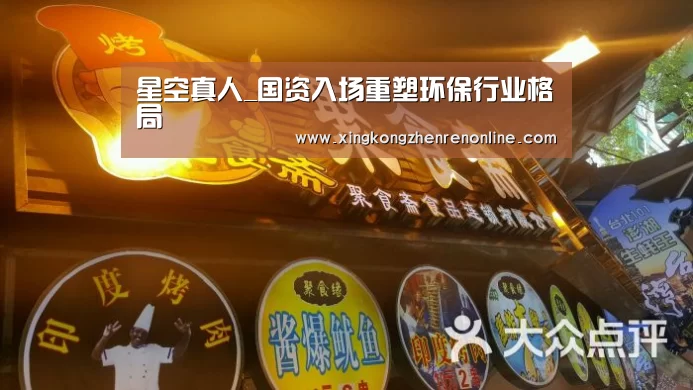 星空真人_国资入场重塑环保行业格局(图2) 星空电竞
