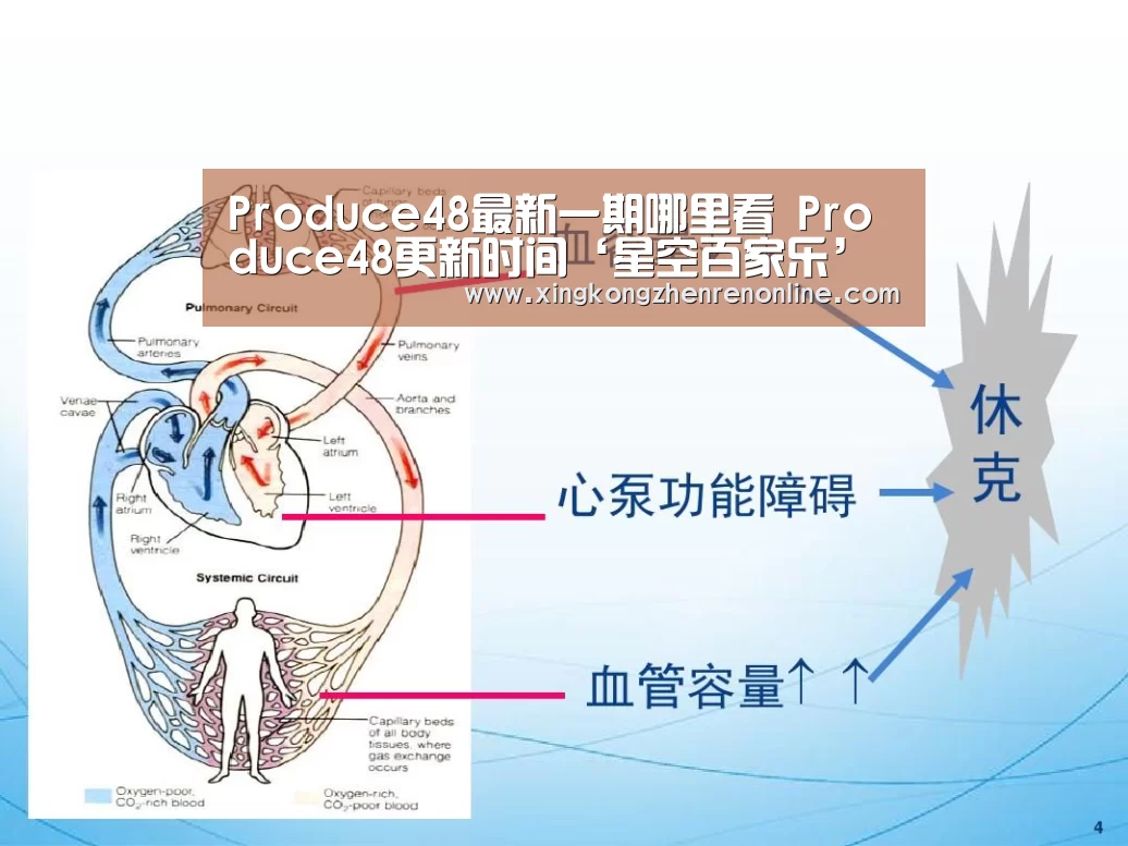 Produce48最新一期哪里看 Produce48更新时间‘星空百家乐’(图1) 星空百家乐