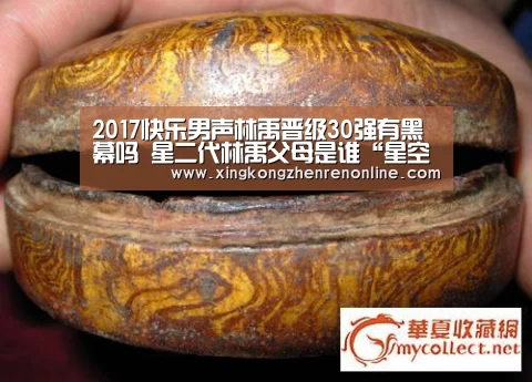 2017快乐男声林禹晋级30强有黑幕吗 星二代林禹父母是谁“星空电竞”(图3) 星空真人
