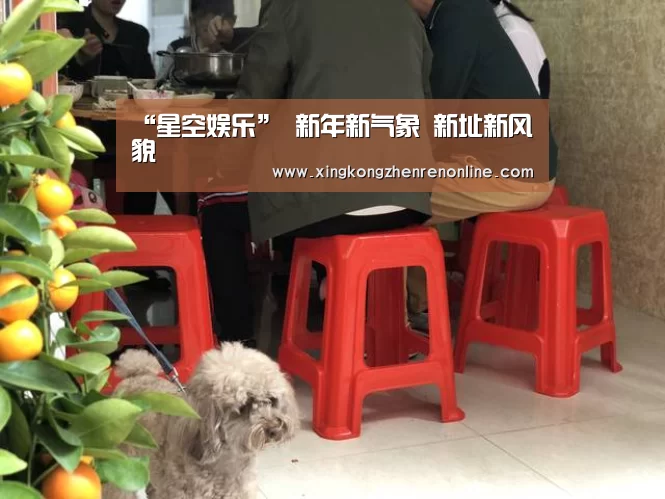 “星空娱乐”
新年新气象 新址新风貌(图1) 星空娱乐