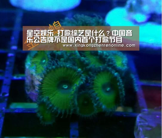 星空娱乐_打歌综艺是什么?中国音乐公告牌不是国内首个打歌节目(图4) 星空娱乐