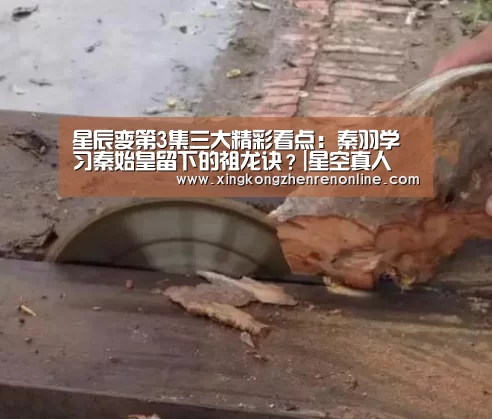 星辰变第3集三大精彩看点:秦羽学习秦始皇留下的祖龙诀?|星空真人(图2) 星空娱乐